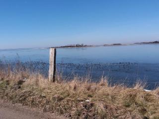 4 person holiday home in Nakskov-By Traum - 1