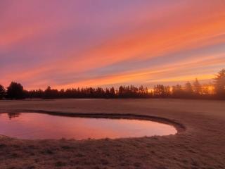 12 person holiday home in Pandrup-By Traum - 2