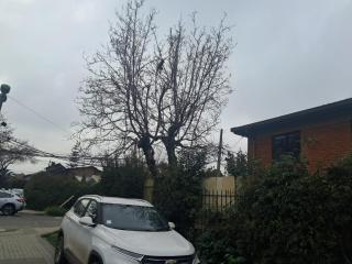 Casa Stefany - 1