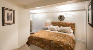 Chic English Basement - 2