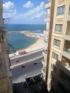 Alexandria - 2