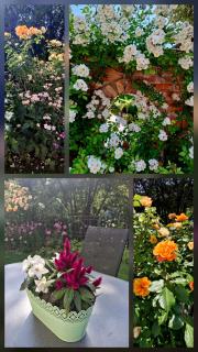 Ferienwohnung Just - 1