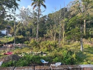 Fog view cottage - Homestay with food and internet - 9