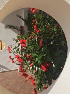 Casa Smeraldo - Loano - 4