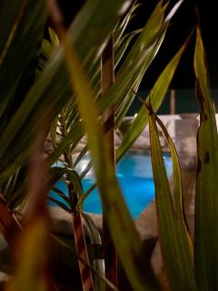 Fleur&Sel Westcoast Villa - 7