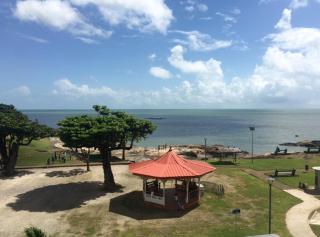 Hôtel Des Amandiers - Cayenne - 7