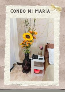 Condo ni Maria - 2