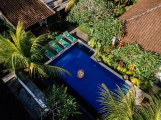 Sundhara View Ubud - 1