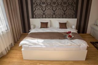 Villa Grande - Apartmány - Olmütz - 5