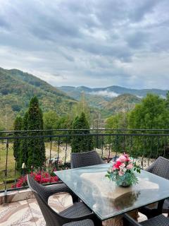 Pensiunea Un colț de Rai - Lunca Jariştei - 5