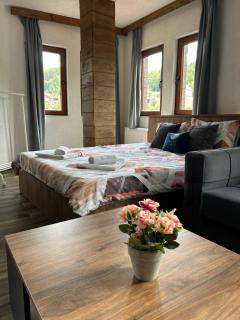 Villa ANA-Mavrovo - 8