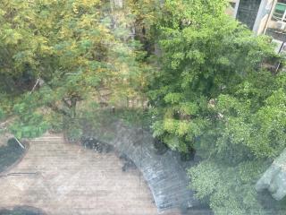 Gulangyu Airport-Train Proximity High-End Lodge - 3