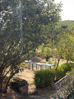 L'îlot Zen - Maison de charme en pierre - rénové - 6