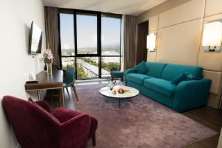 Mercure Almaty City Center - 1