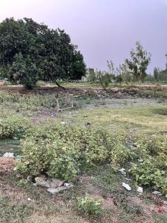 Gauveda siddhi Fed Farmers Producer Company Limited - 8