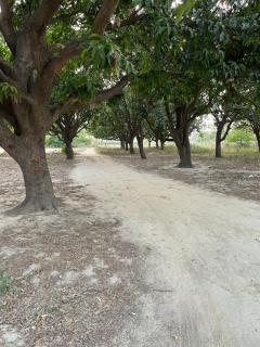 Gauveda siddhi Fed Farmers Producer Company Limited - 7