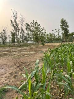 Gauveda siddhi Fed Farmers Producer Company Limited - 4