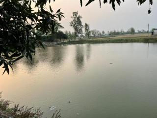 Gauveda siddhi Fed Farmers Producer Company Limited - 3