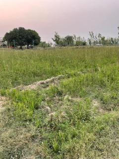 Gauveda siddhi Fed Farmers Producer Company Limited - 1