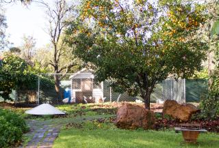Farview Guest Accommodation - Pickering Brook - 4