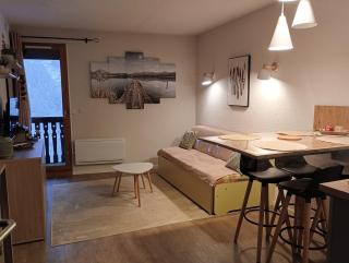 Appartement T2, 20m des Pistes, En Relooking - 0