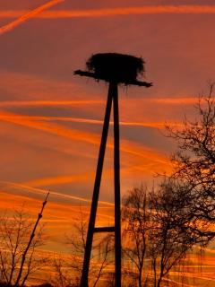 Am Storchennest - 3