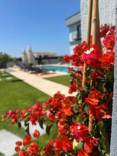 Çeşme Güzel Life - 1