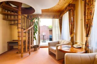 Hotel Concertino Zlatá Husa - 6