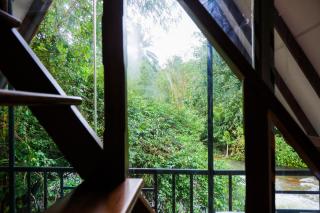 Ever Top Resort Kithulgala - 3