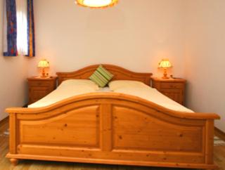 Panoramablick Ferienwohnung Schiestl - Brandberg - 1