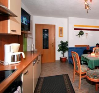Panoramablick Ferienwohnung Schiestl - Brandberg - 2