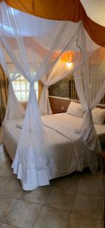 Trotters Hotel - 0