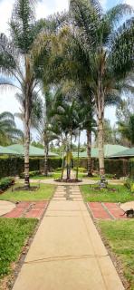 Trotters Hotel - Gitura - 9