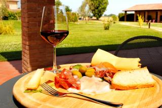 Agriturismo Giuncola & Granaiolo - Rispescia - 3