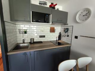 Appartement rénové avec accès direct aux pistes, 4 pers, balcon, parking - FR-1-445-187 - 1