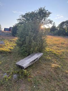 Horsvik - Hagstugan - 7