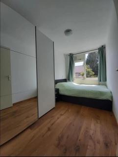 Villa with garden near Amsterdam - 5