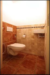 Villa with garden near Amsterdam - 2