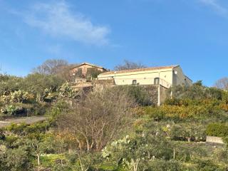 Agrumeto Del Campo - 9