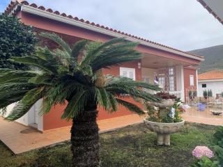 Holiday Home Austry - 7