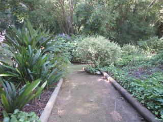 Pecan Tree Forest Studio A with Terrace - 1
