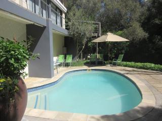 Pecan Tree Studio 1 with Forest View - 3