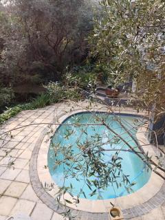 Pecan Tree Forest Studio A - 4