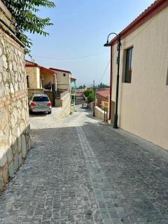 Telavi - 8