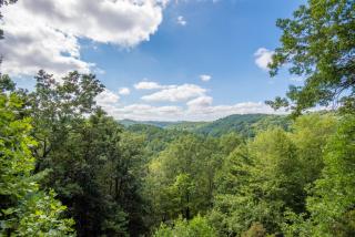 Fleetwood Falls - VIEWS - Lake and New River Access - Close to Todd & Boone - 30 Min to Skiing - 8