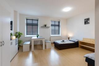 FLEX Aparts - möblierte 2-Raum Wohnung in Zwickau - 8