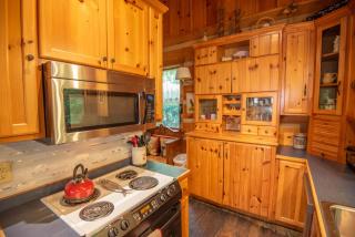 Secluded 2 Bd Cabin- Firepit, Hot Tub, Dogs OK, Sleeps 6 - 1