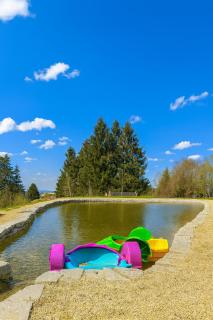 Waldzauber, nähe Passau, Garten, Kamin, Galerie, im Bayerischen Wald - 5