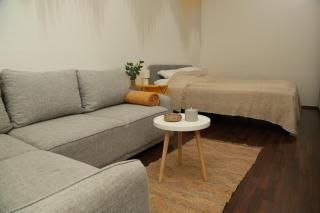 EnC Downtown Lodge Apartment - 4