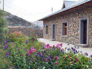 Nur Homestay in Nurata Mountains - 8